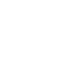 Cyberconsulting